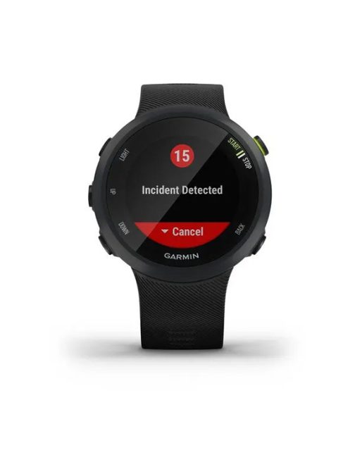 Forerunner 45 - Image 3